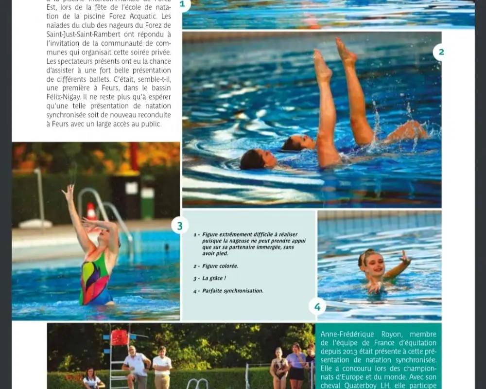 Club des Nageurs du Forez