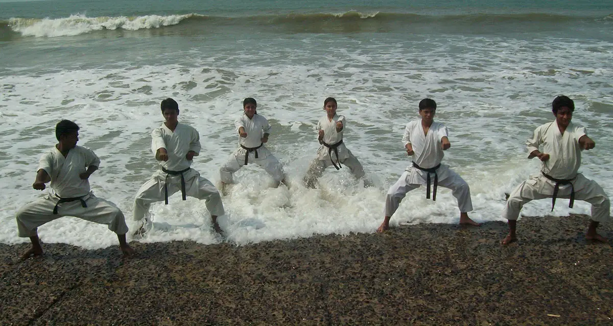 SIKKI - Seishinkai Indian Karate-Do & Kick Boxing Institute