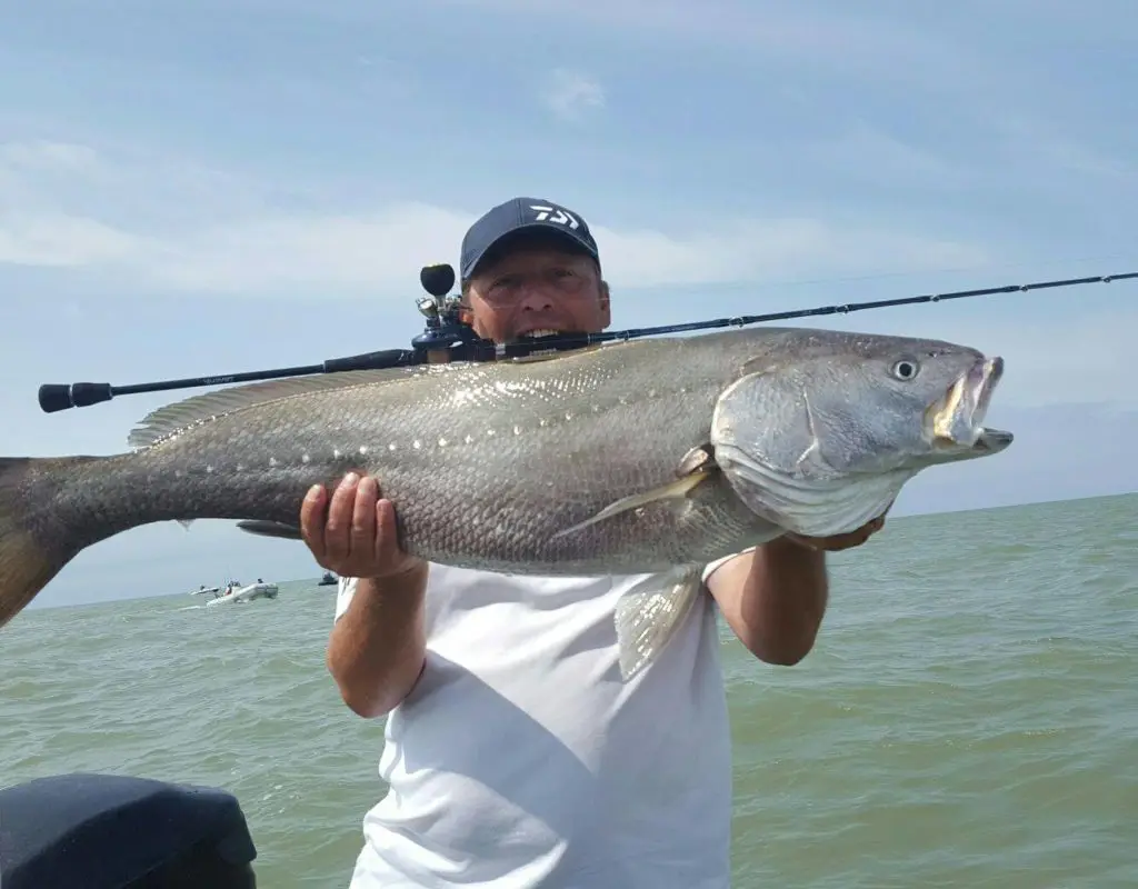 LALULE - Guide pêche à La Rochelle