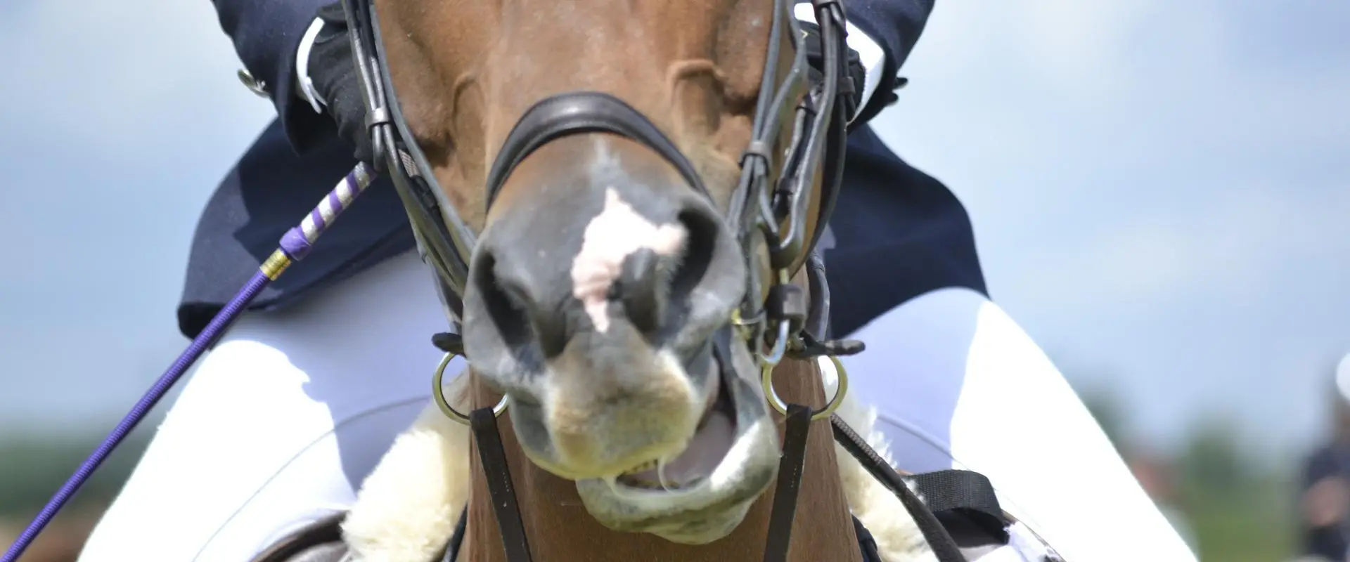Association of Irish Riding Clubs