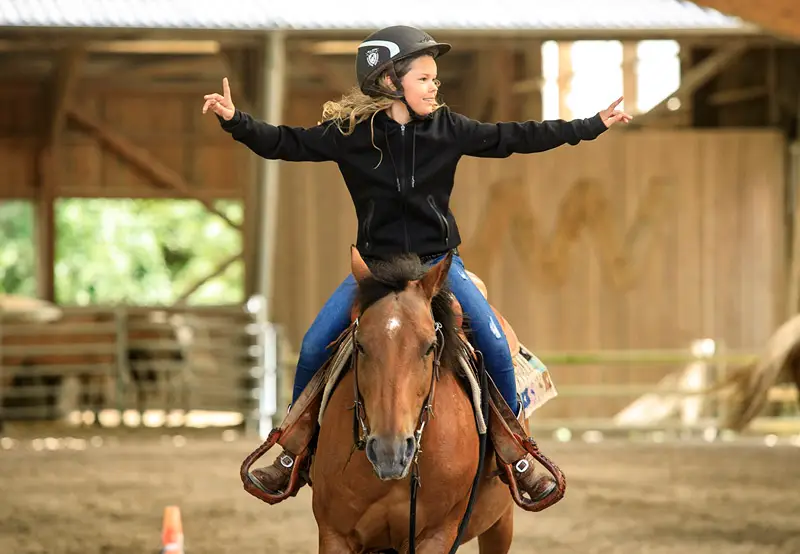 Westerlies Performance Horses-Centre d'équitation Western