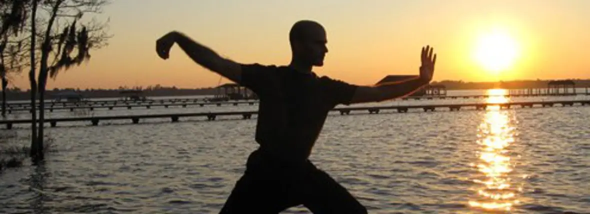 White Crane Tai Chi