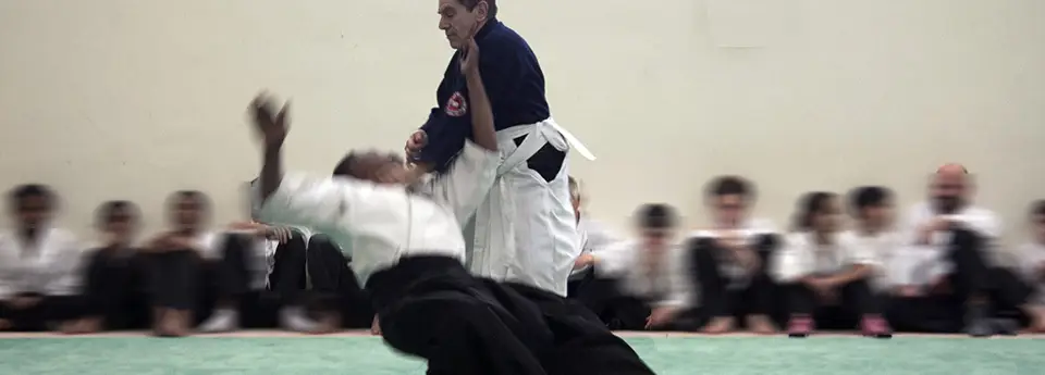Aikivudao La Batarelle Budokai