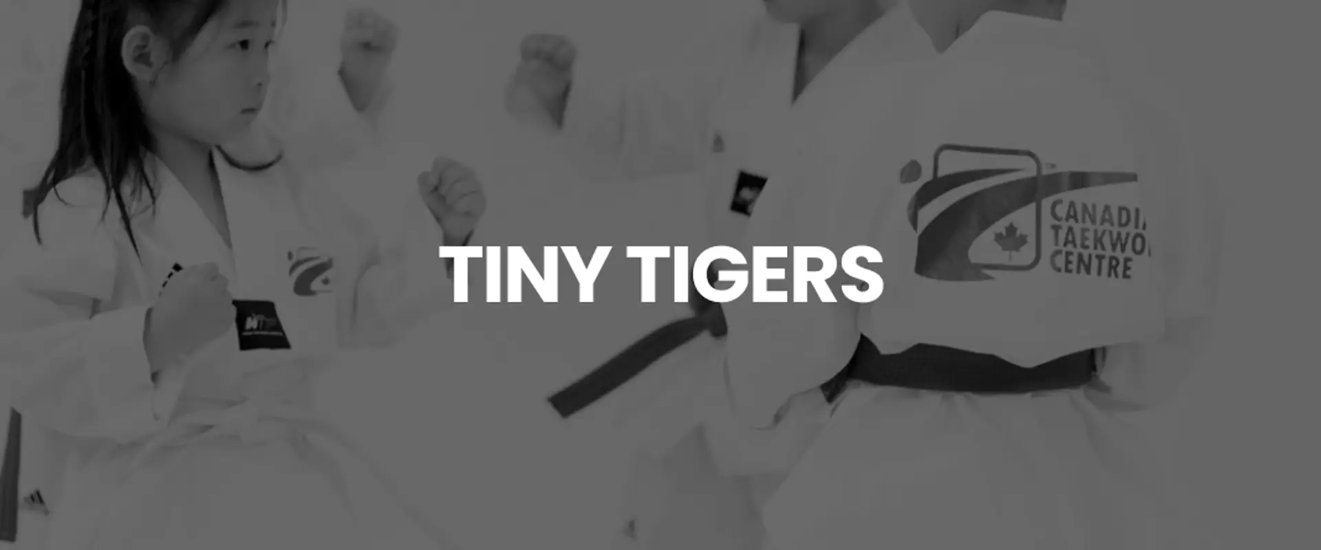 Canadian Taekwondo Centre (