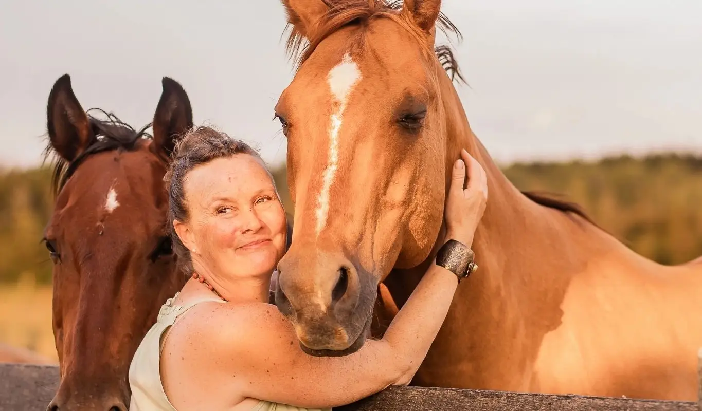 HidLea Stables