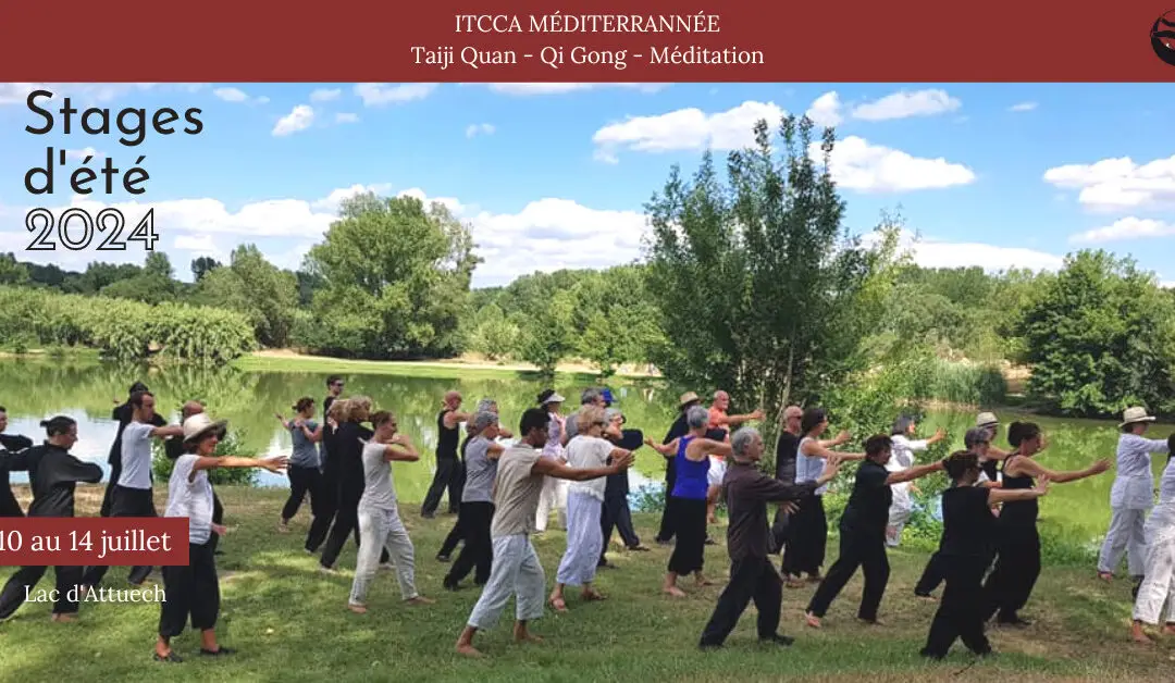 Tai Chi Chuan Itcca Perpignan