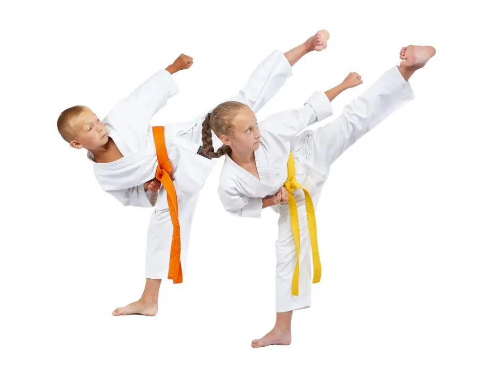 Ju Dachi Martial Arts Association