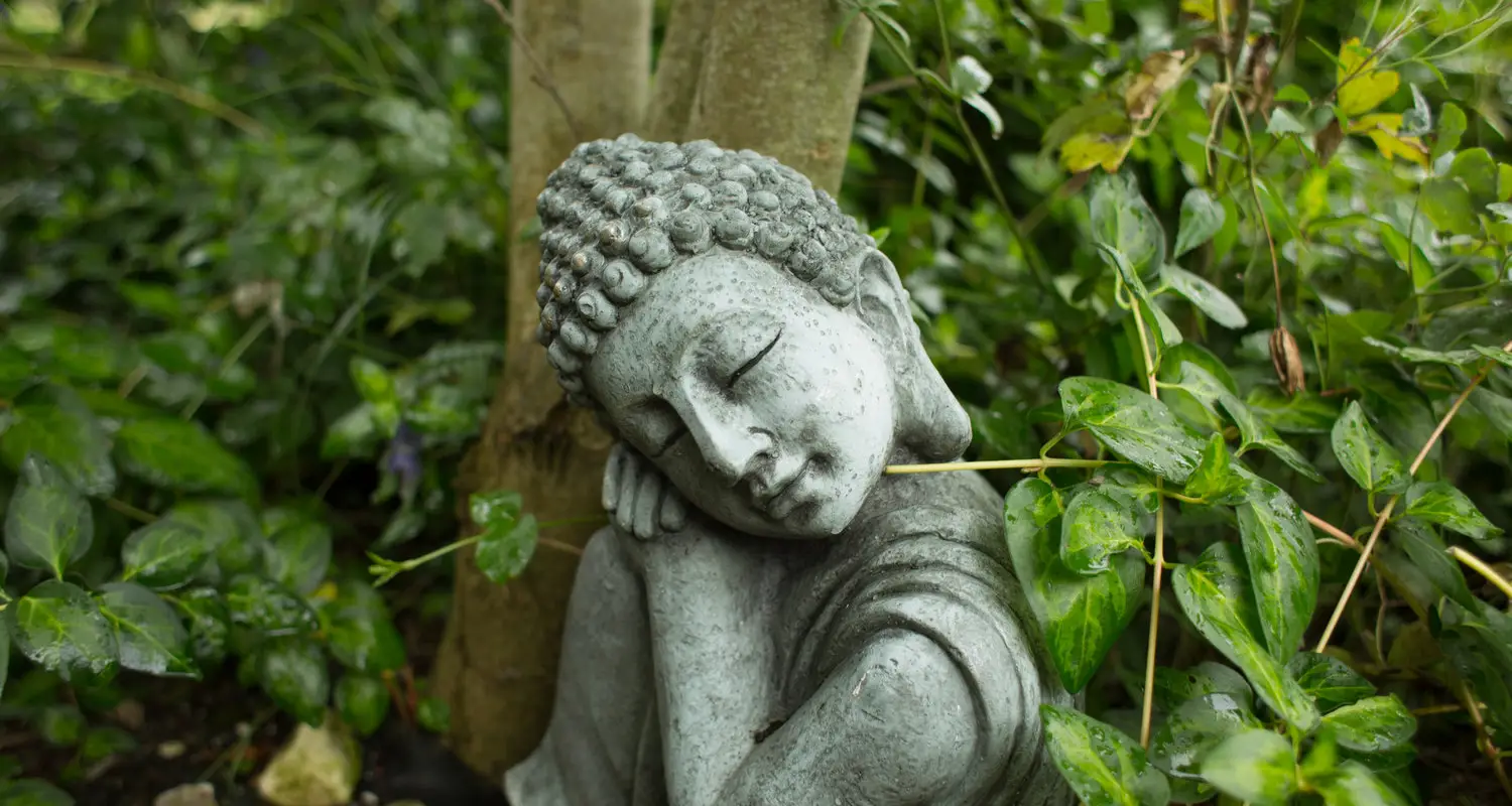 The Yoga Garden