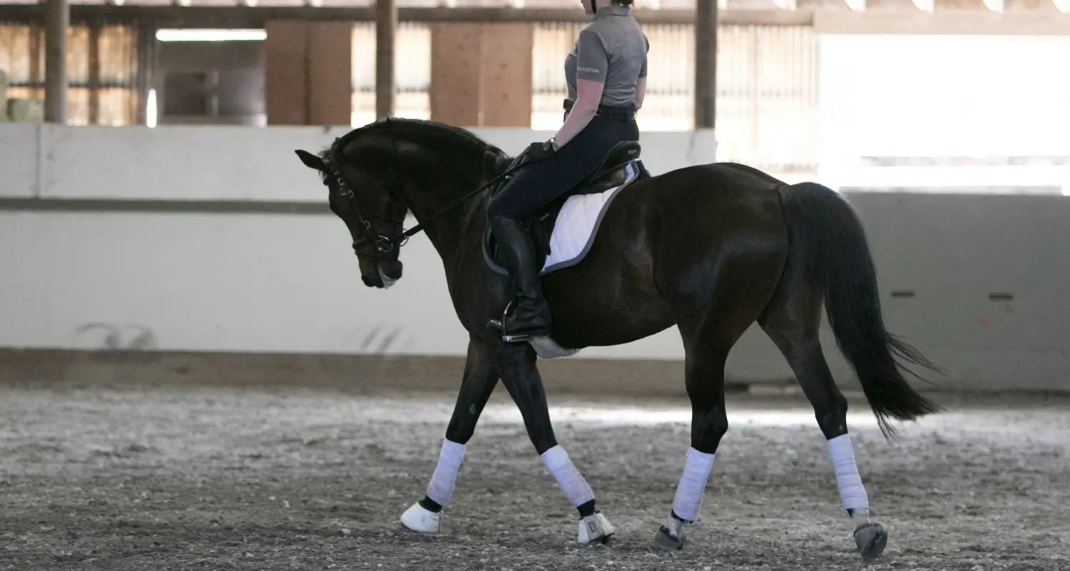 Crescent Stables Ltd