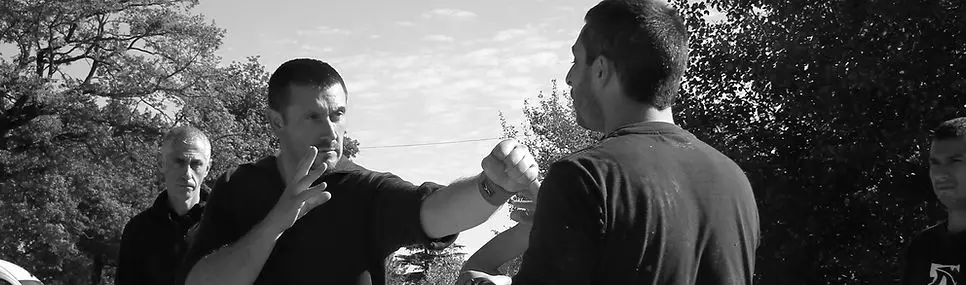 Federation Defense System Krav Maga Et Disciplines Associées