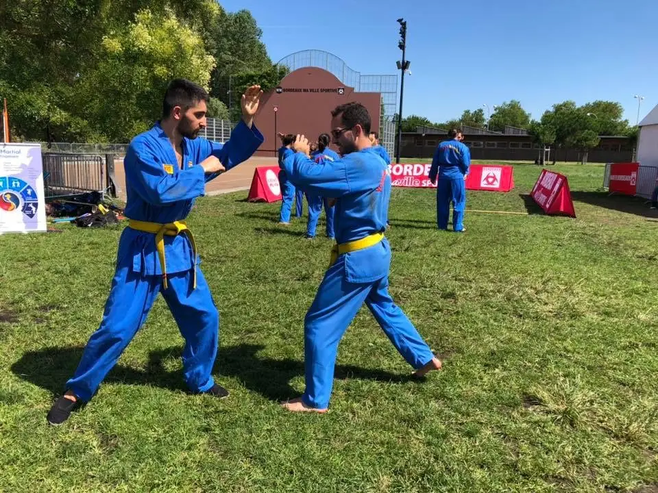 Vovinam Viet Vo Dao Du Val De L'eyre