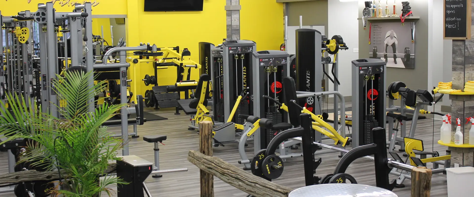 Carbo Performance Fitness