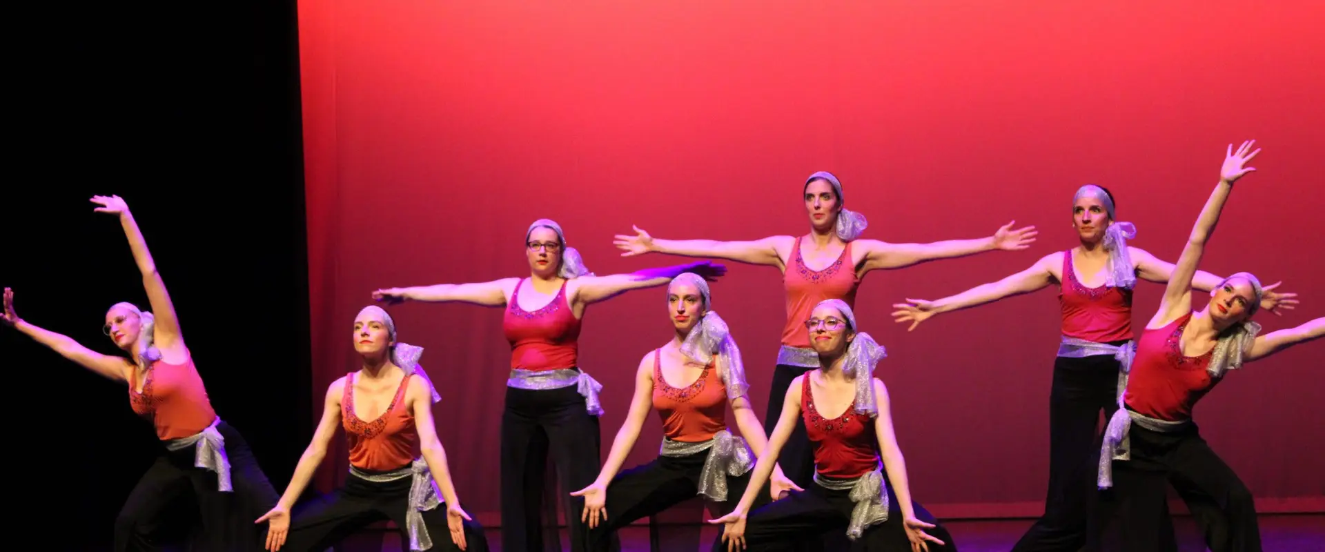 Danses Plurielles