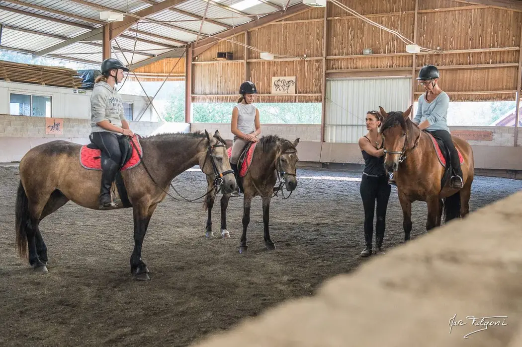 Horse Riding School Du Closel