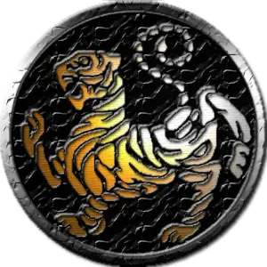Karate Club Des Villes De Verton Et Berck