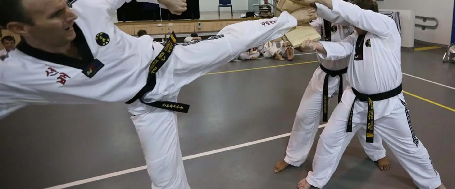 Sun Bae Taekwondo & Hapkido - Mt Gravatt