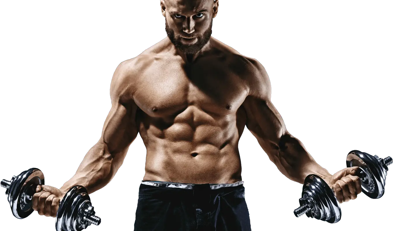 Body Fitness | Gym Equipment Shop in Delhi | Gym Equipment Shop in Alipur