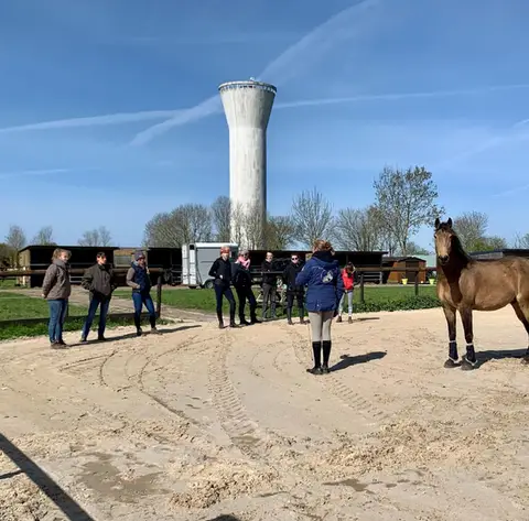 Ecurie Olivier Poney Club