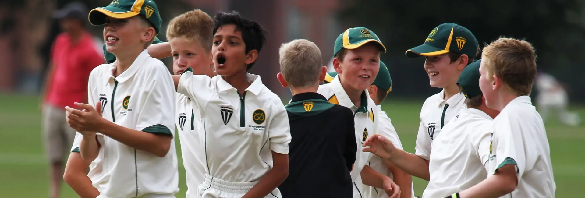 Staffordshire Cricket