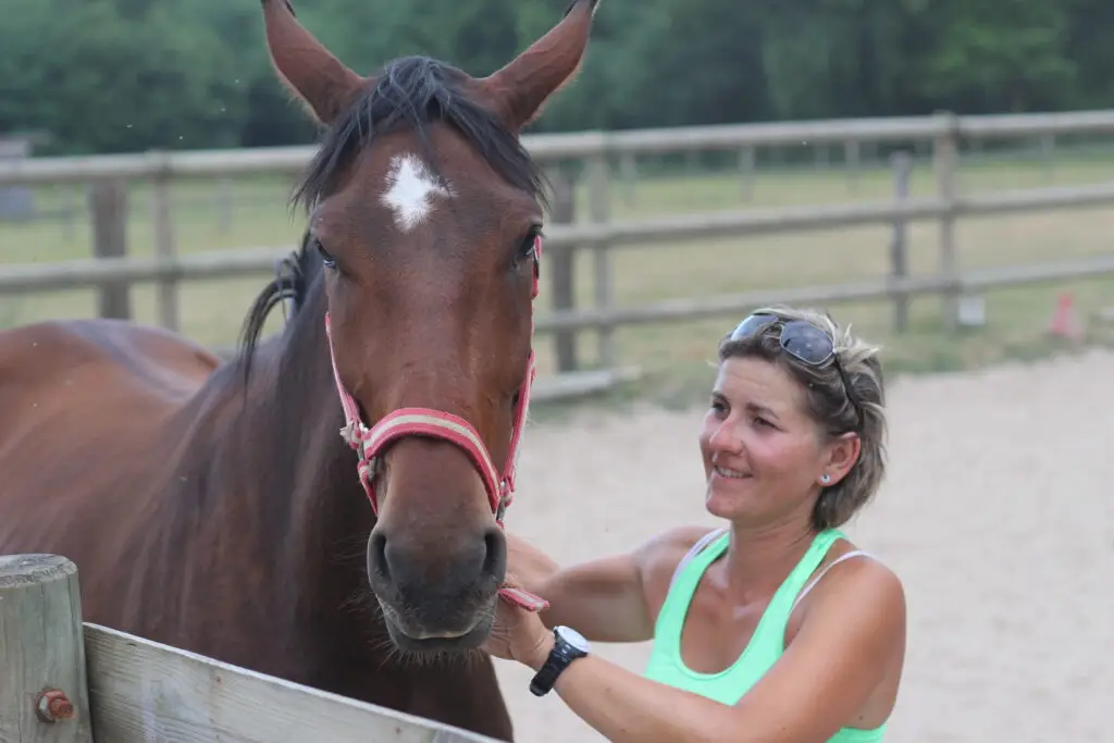 CP Monitrice - monitrice d'équitation indépendante