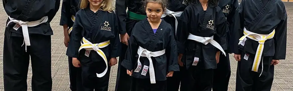 Lucid Martial Arts