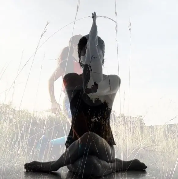 Kurmasana