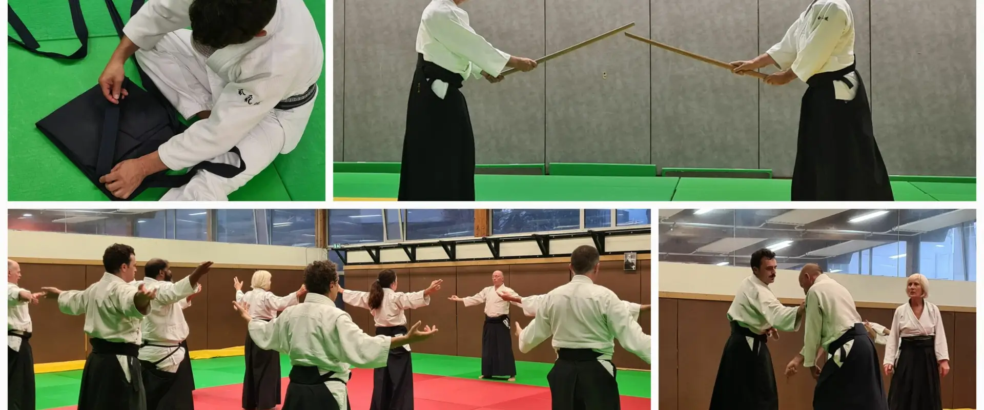 Cs Doua Aikido