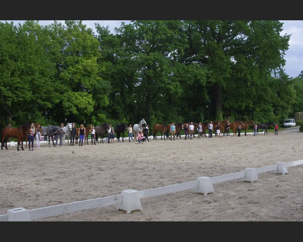 Les Ecuries De Breteuil