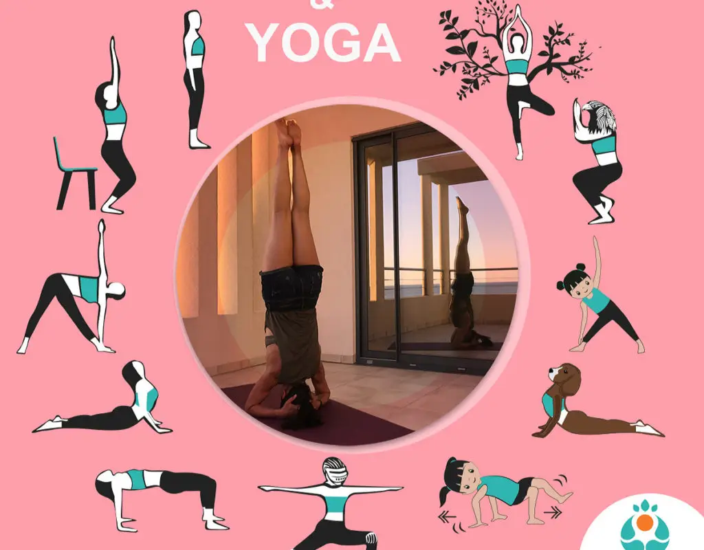 Omniyama Yoga
