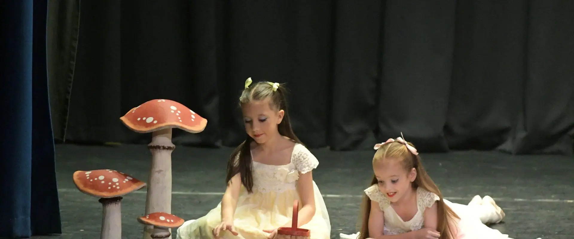 Allenova School Of Dancing