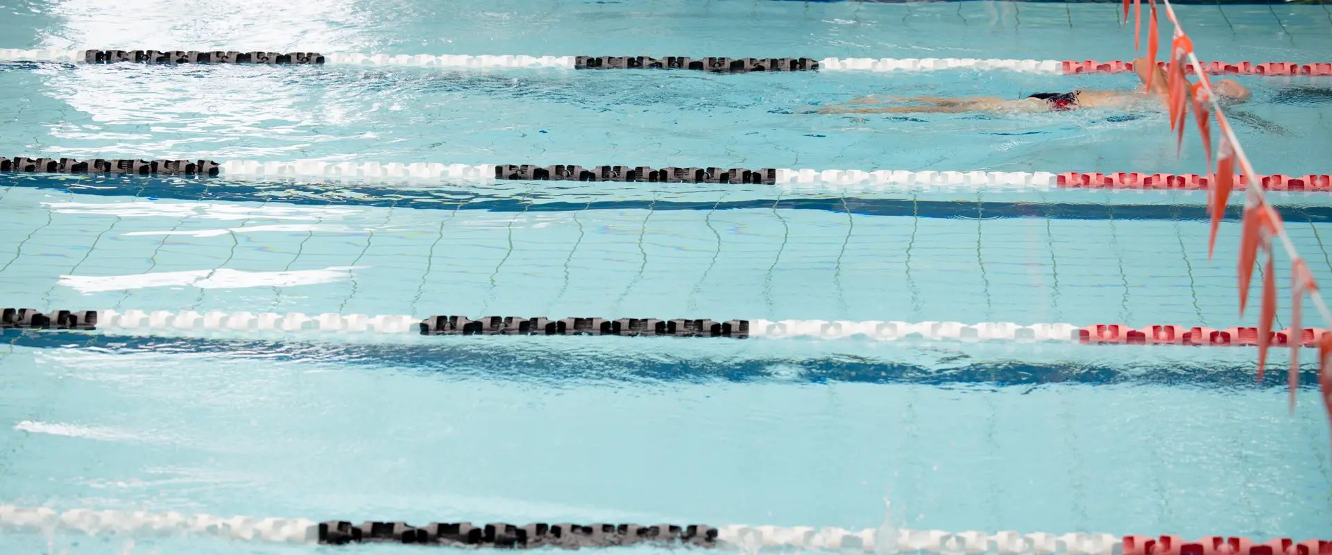 The Y NSW Great Lakes Aquatic and Leisure Centre