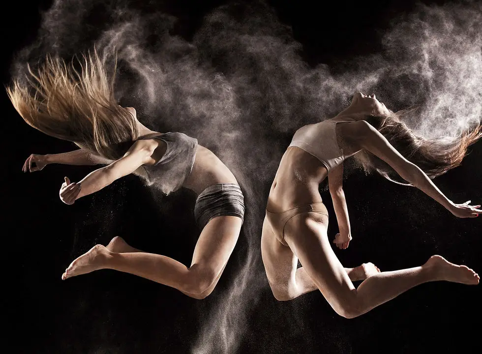 Le Conservatoire Des Arts De La Scne Des Laurentides