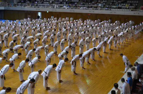 SHOTOKAN KARATE DO INDIAN ASSOCIATION
