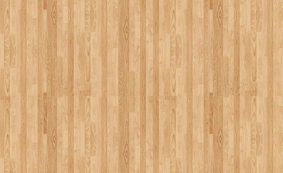 Belmont Saints Squash Club