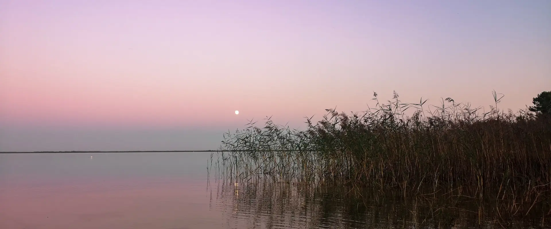 Pêche Animation Médoc