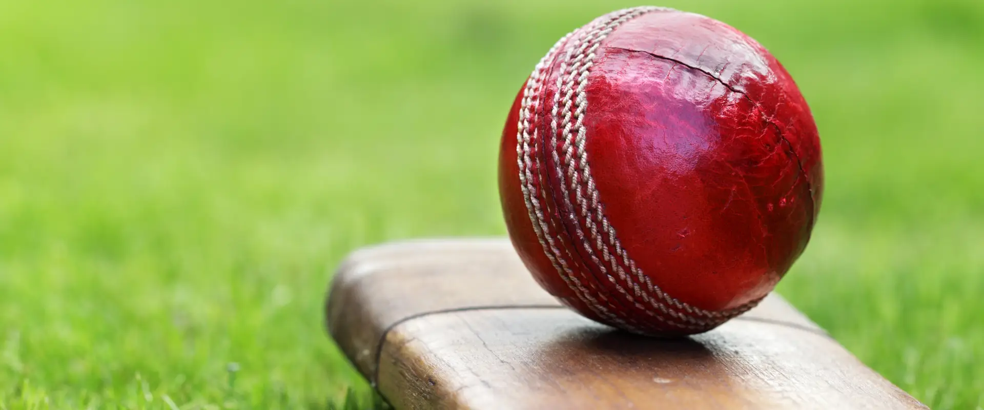 Leichhardt Wanderers Cricket Club