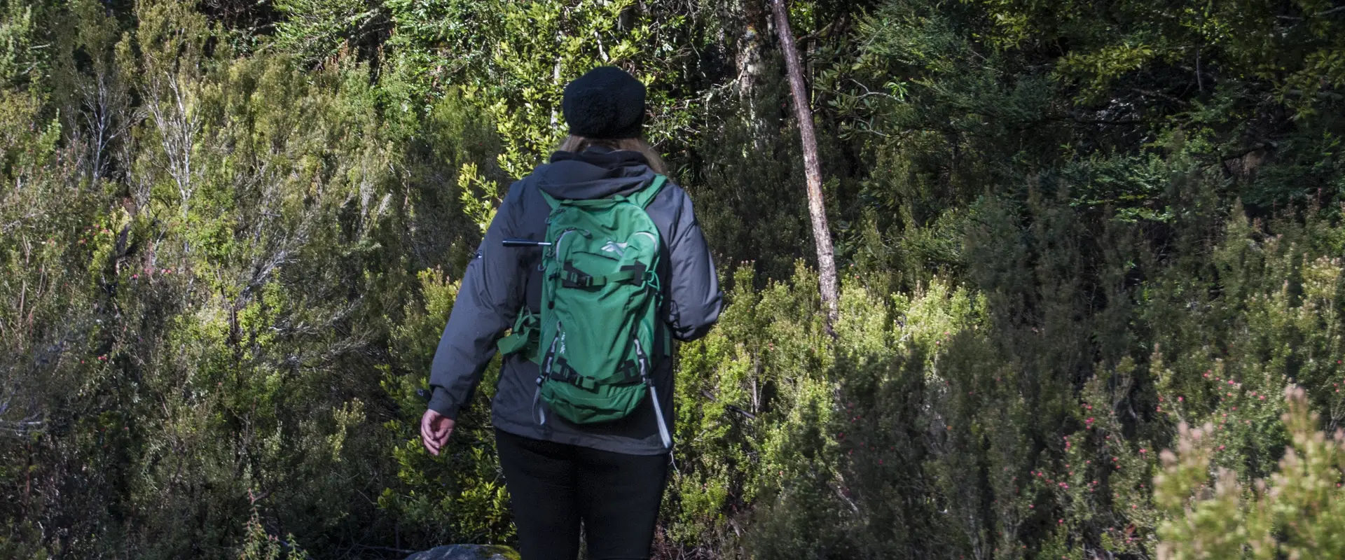 Warringah Bushwalking Club