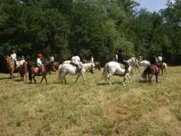 Farm Equestre De Simon