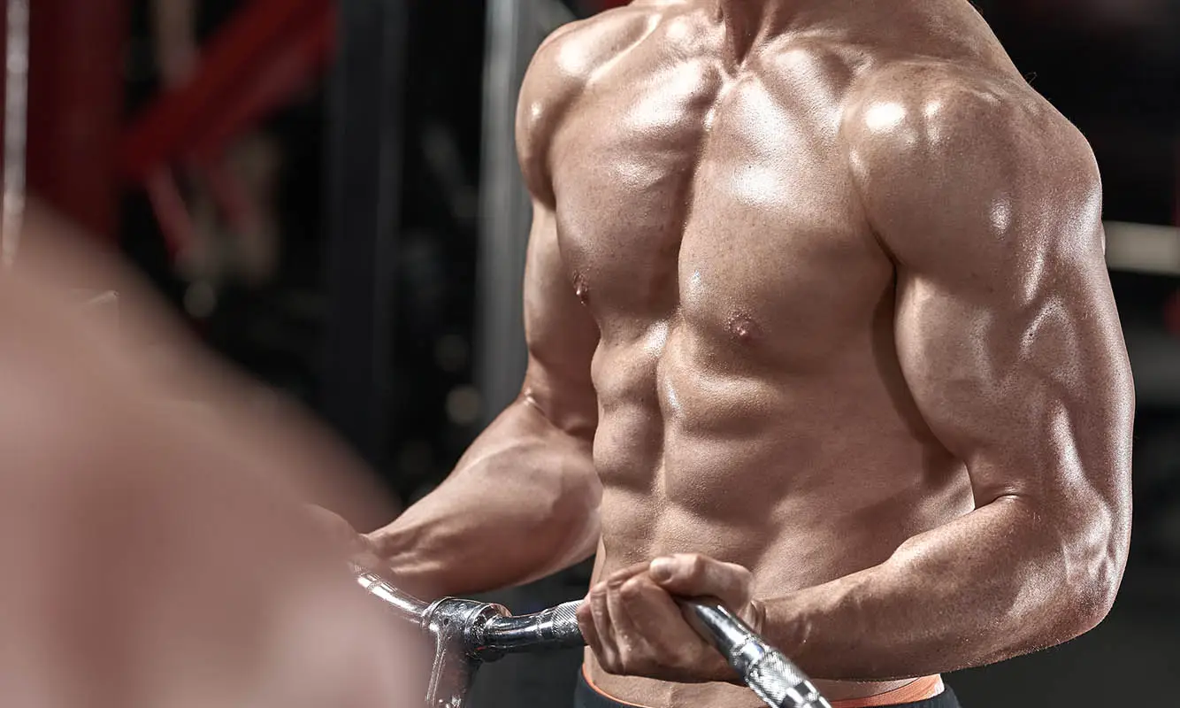 Andrew Stewart Fitness