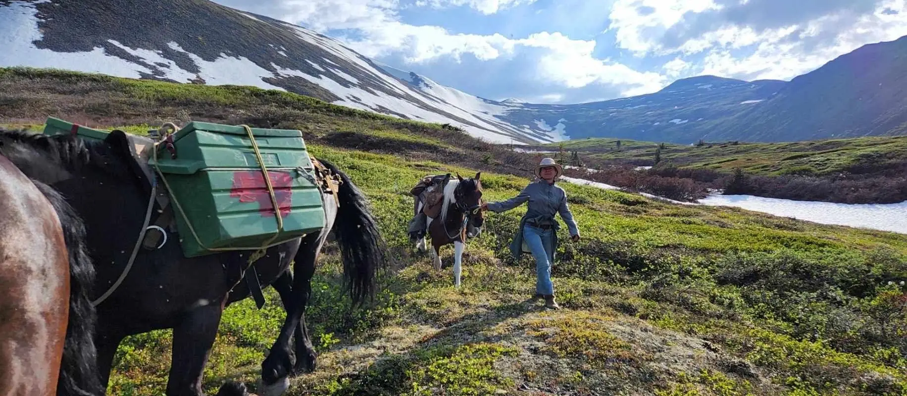 Caribou Wild Mountain Tours