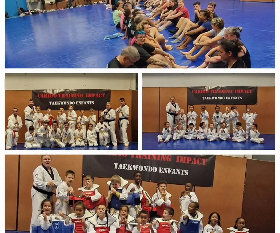 Cardio Training Impact And Taekwondo 95 Herblay