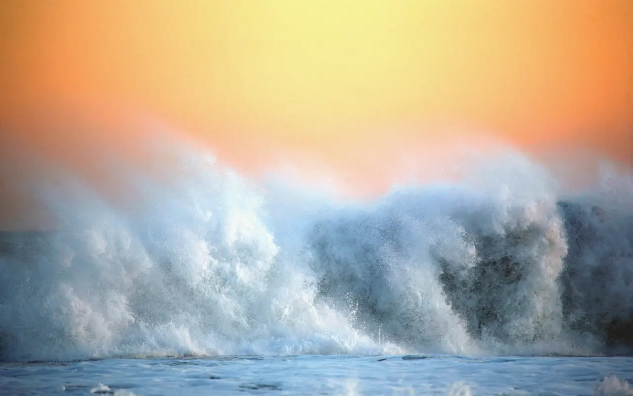 Surf Dudes - Surfing Membership Site