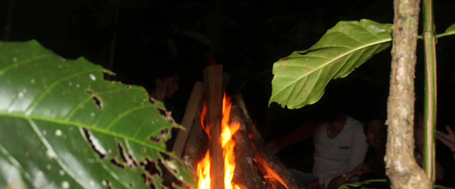 Bobs and Pops Campsite,Coorg