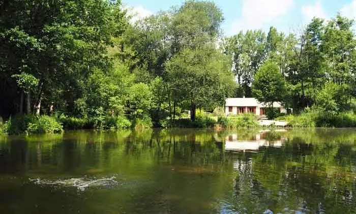 Beausoleil Carp and Cats