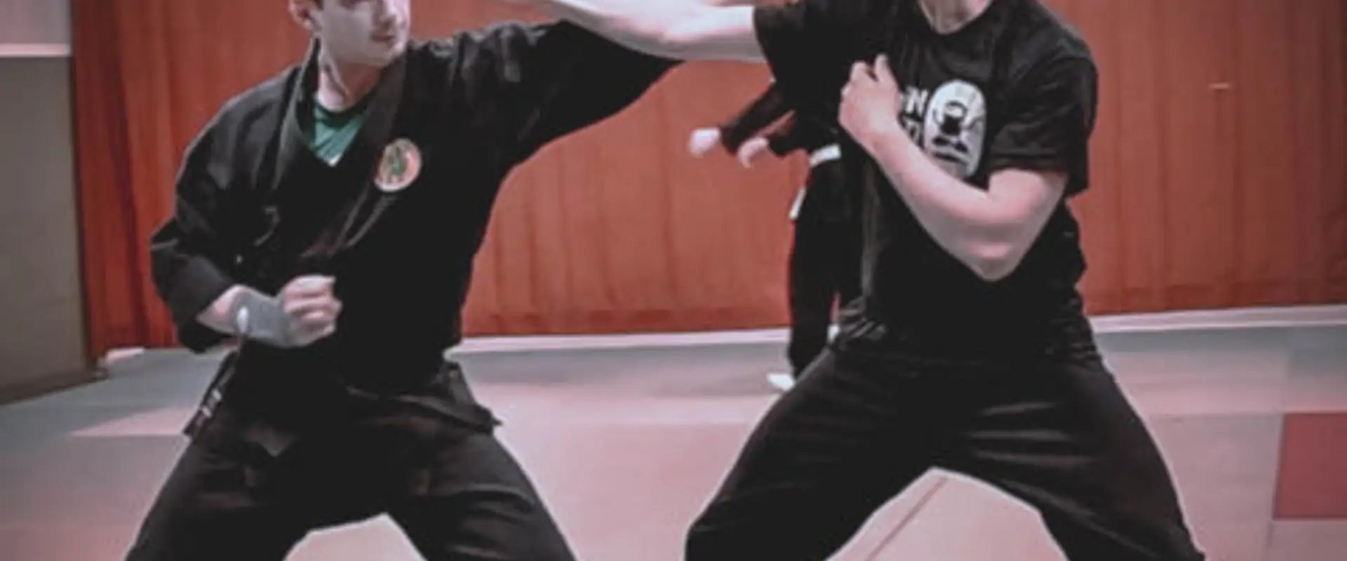Bujinkan Ninjutsu France Paris Vincennes