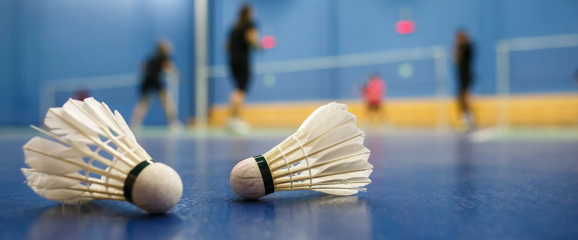 Association Sportive Badminton House