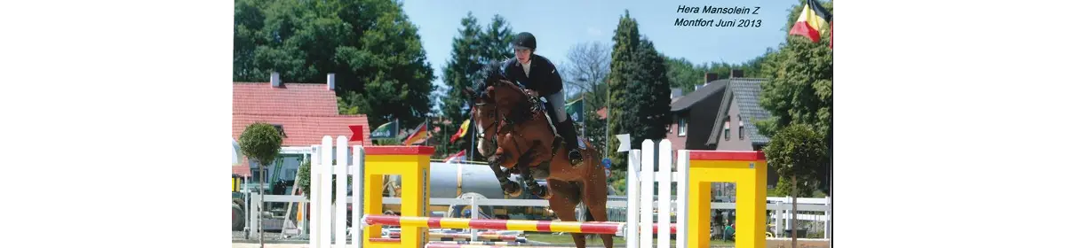 Haras Mansolein