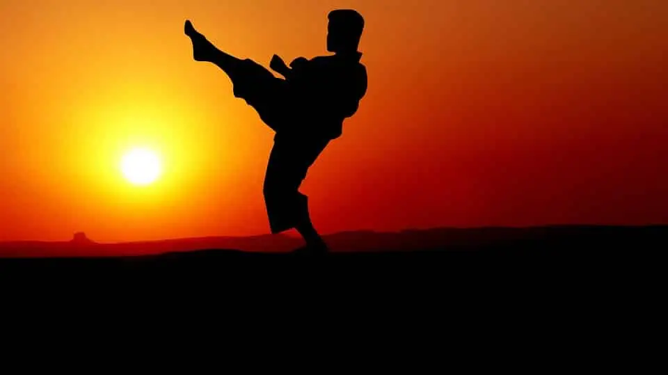 Karate-Blog.net