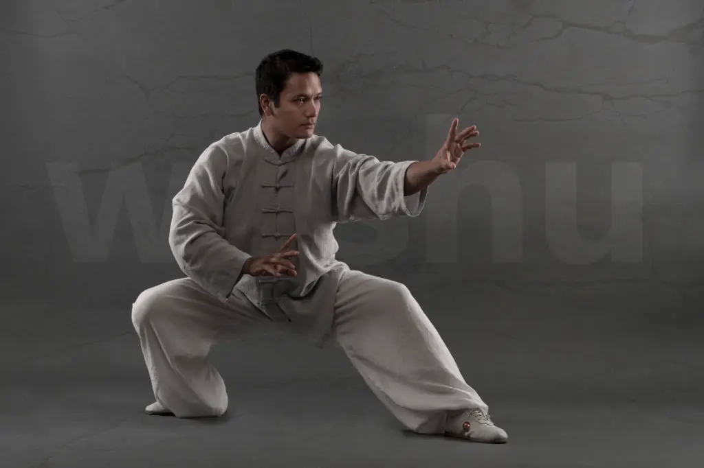 Association Cercle WUSHU69