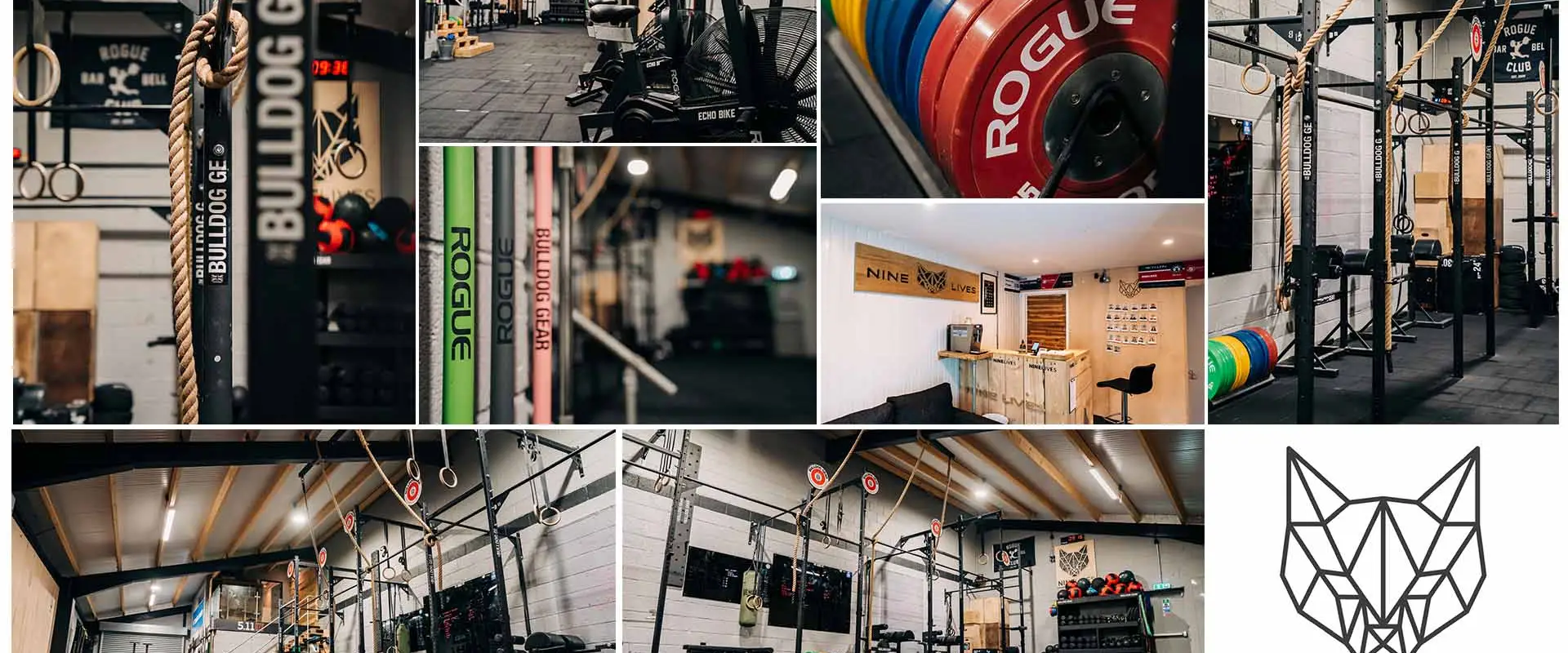 NINELIVES GYM